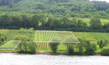 Merler Klosterberg
