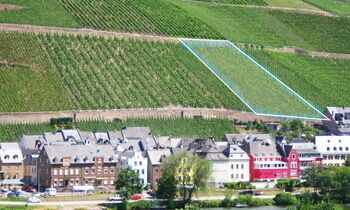 Merler Fettgarten