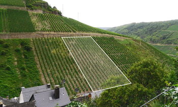 Briedeler Nonnengarten